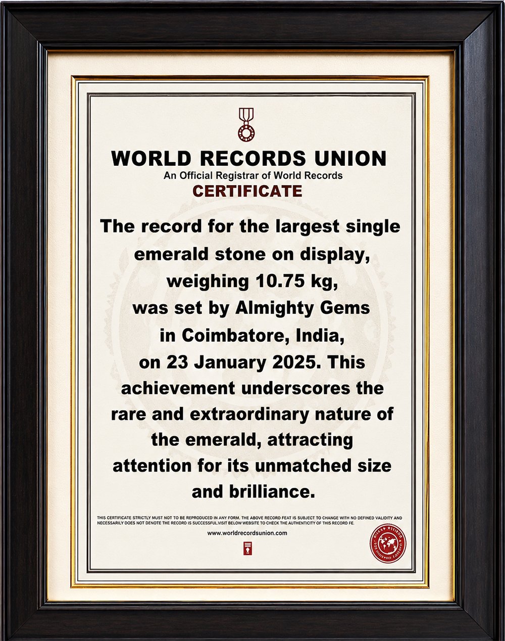 World Record Certificate